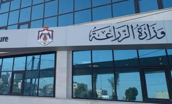 الزراعة: فتح باب الاستيراد للحد من ارتفاع أسعار اللحوم والليمون