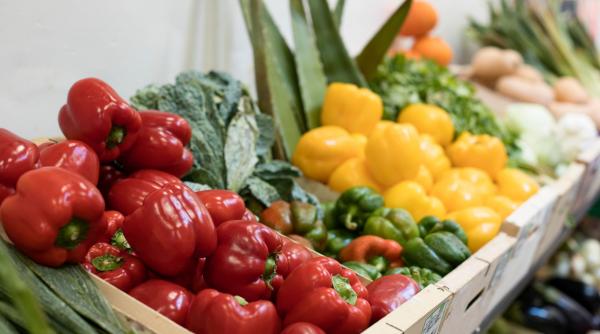 اسعار الخضار والفواكه في السوق المركزي الخميس