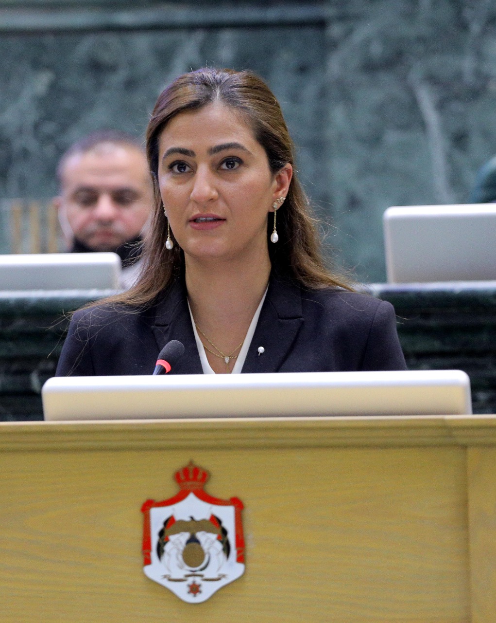 البشير: بيع أراضي الفحيص في المزاد يهدد حق الأهالي ويستدعي وقف الإجراءات فوراً