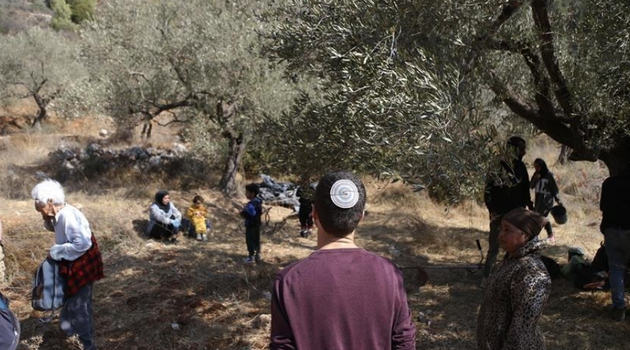مستوطنون إسرائيليون يرعون مواشيهم بأراض فلسطينية