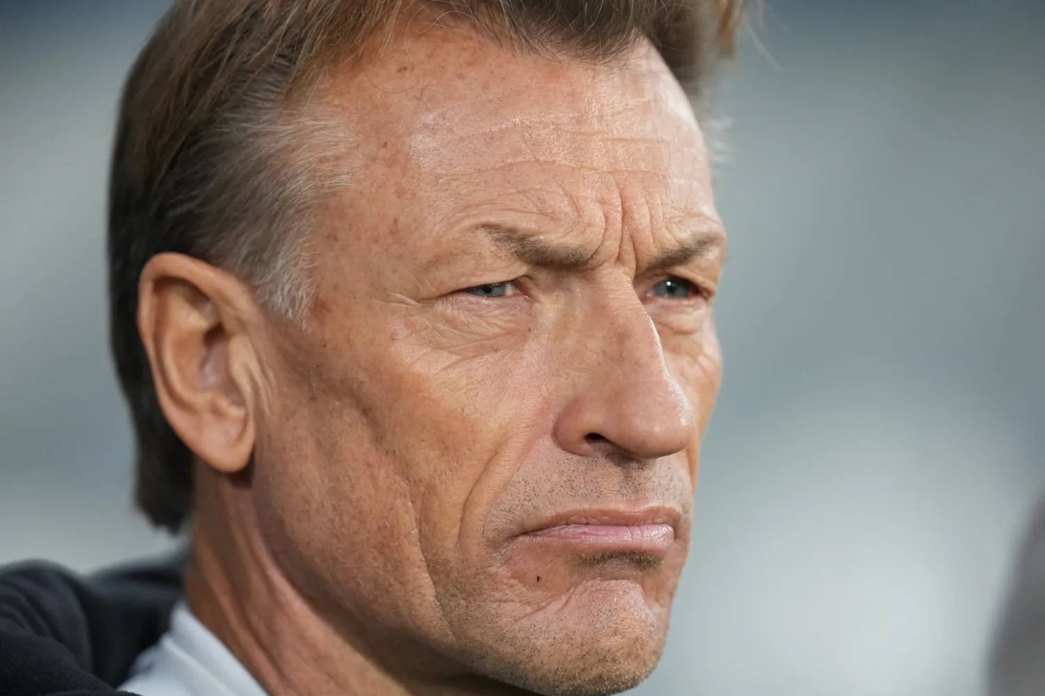 مصادر: الاتحاد السعودي يفاوض 5 مدربين لتدريب «الأخضر الكبير»