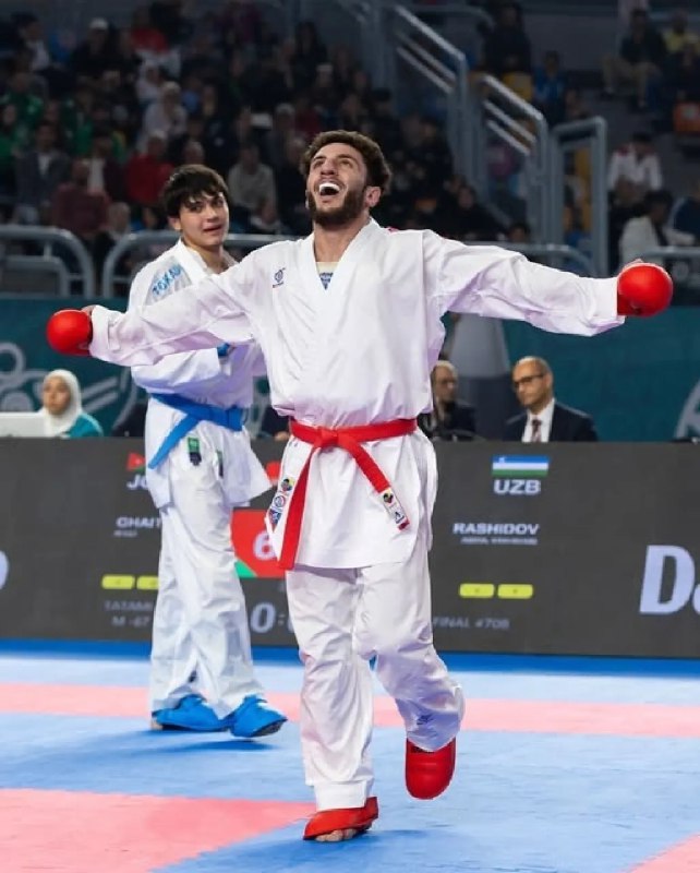 عفيف غيث يكتب التاريخ للأردن بتحقيق الذهبية في بطولة العالم للكراتيه بالقاهرة