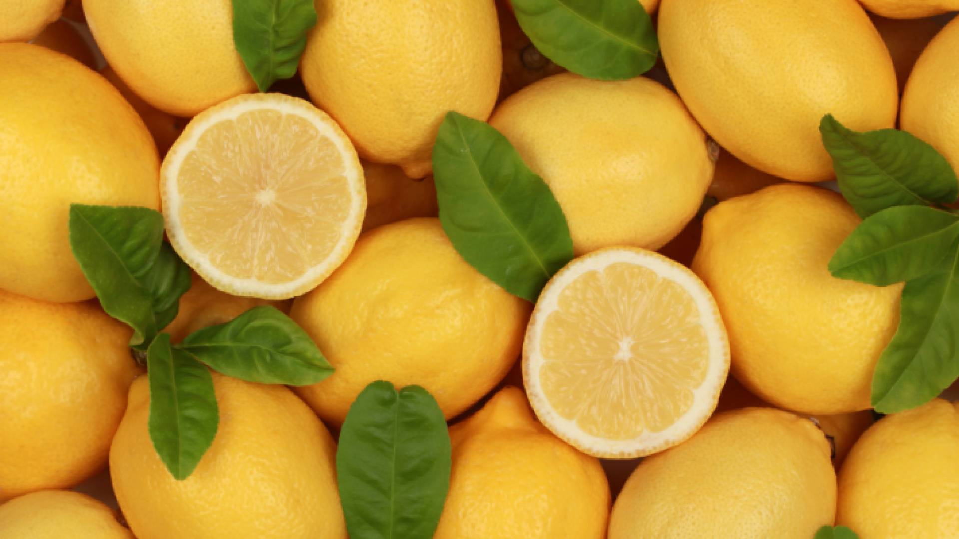 120 قرشا كيلو الليمون في السوق المركزي 