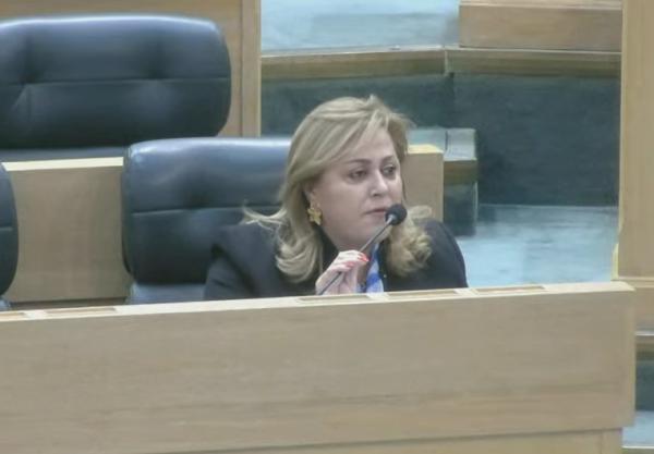 نفاع تدافع عن أمين حزب عزم: خلط بين الصلاحيات والحوار السياسي