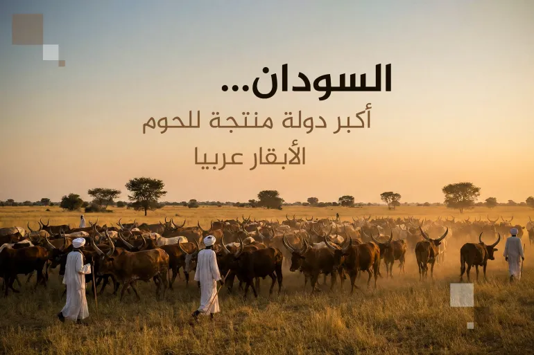 يزيد استهلاكها برمضان ..  10 أكبر منتجي لحوم الأبقار بالعالم