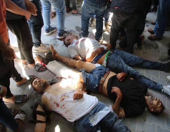 إقليم إيطالي يعلن قطع علاقاته مع "إسرائيل" بسبب الإبادة في غزة  