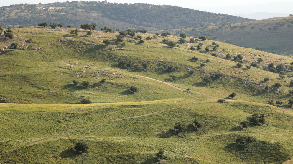 أجواء مشمسة والحرارة أعلى من معدلاتها بـ 6 درجات الخميس