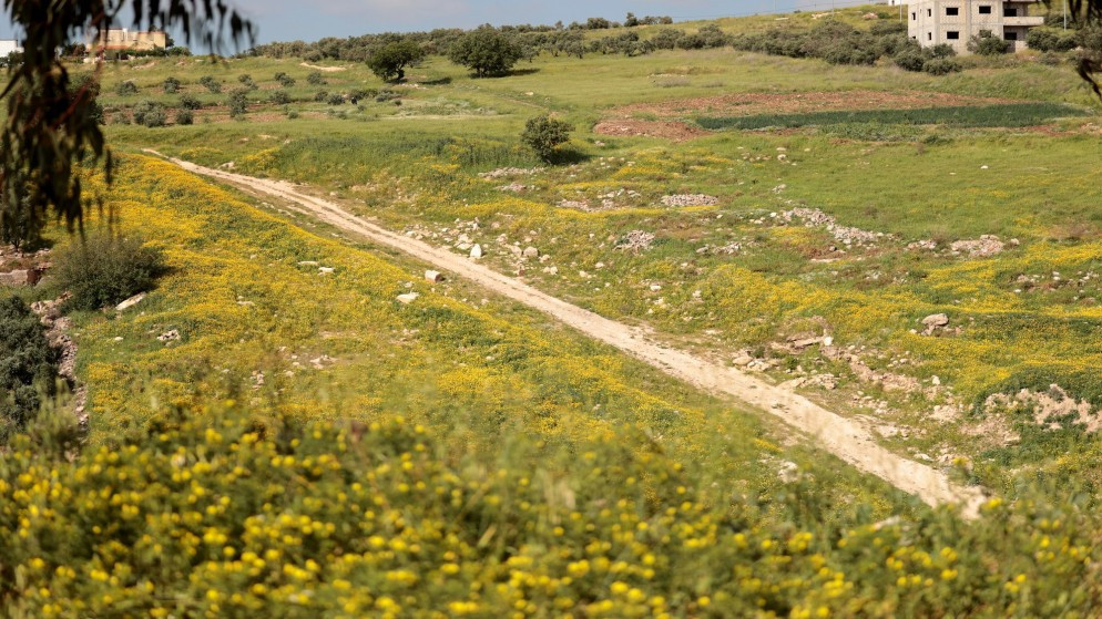 أجواء باردة نسبيا حتى الأحد وربيعية دافئة بدءا من الاثنين 