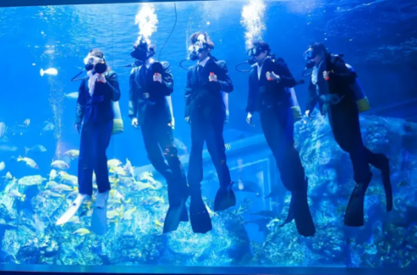 موظفون يغوصون بالبدلات الرسمية بين الأسماك لتسلم تعيينهم