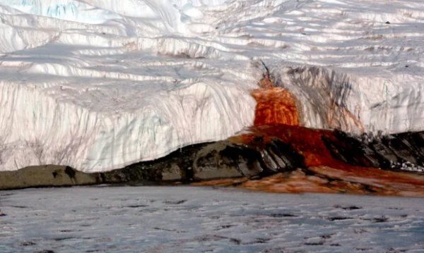 بعد 100 عام من الغموض  ..  كشف السرّ الحقيقي لشلالات الدم في القطب الجنوبي