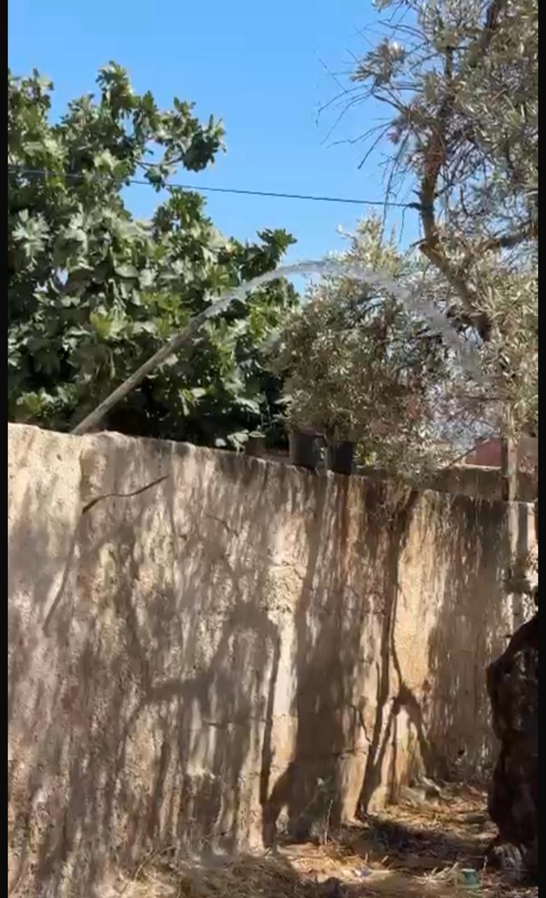 img13
