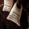 شركة أمريكية تُخطط لطرح بديل للقهوة مصنوع من بذور التمر والجوافة