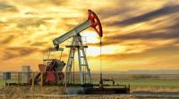 "الطاقة الدولية" تتوقع زيادة أسعار النفط بعد اتفاق أوبك+ على خفض الإنتاج