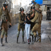 الاحتلال يعتقل 20 مواطنا من الضفة بينهم سيدة وأطفال