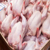 حماية المستهلك تطالب بشمول الدجاج الطازج بقرار السقوف السعرية