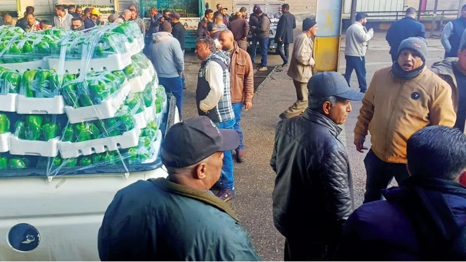 وادي الأردن ..  مزارعون يستقبلون موسمهم الجديد بخسائر فادحة وتحديات متفاقمة