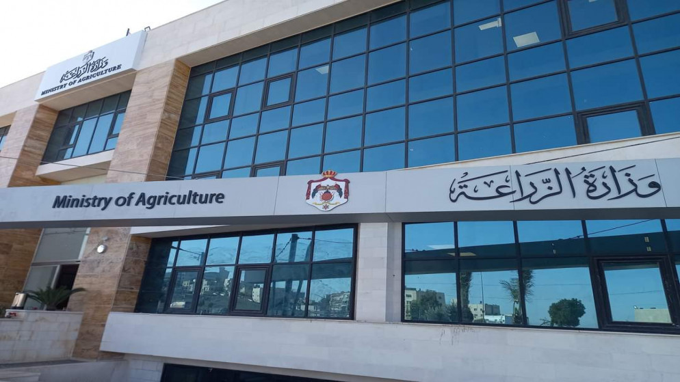 البدء بإنشاء قسم للذكاء الاصطناعي في وزارة الزراعة