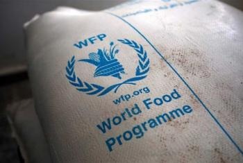 الأغذية العالمي يؤكد وصول مساعدات الرصيف العائم لمستودعاته في دير البلح