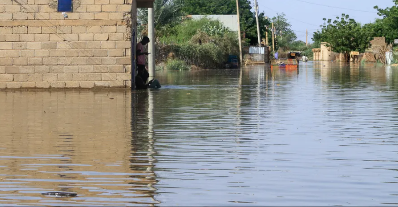 مياه تبتلع المنازل ..  غرق أراضي "طرح النهر" يثير جدلا في مصر