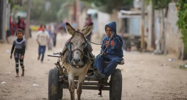 طفولة تسحقها الحرب في غزَّة ..  "معيلون صغار" لأسر مكلومة 