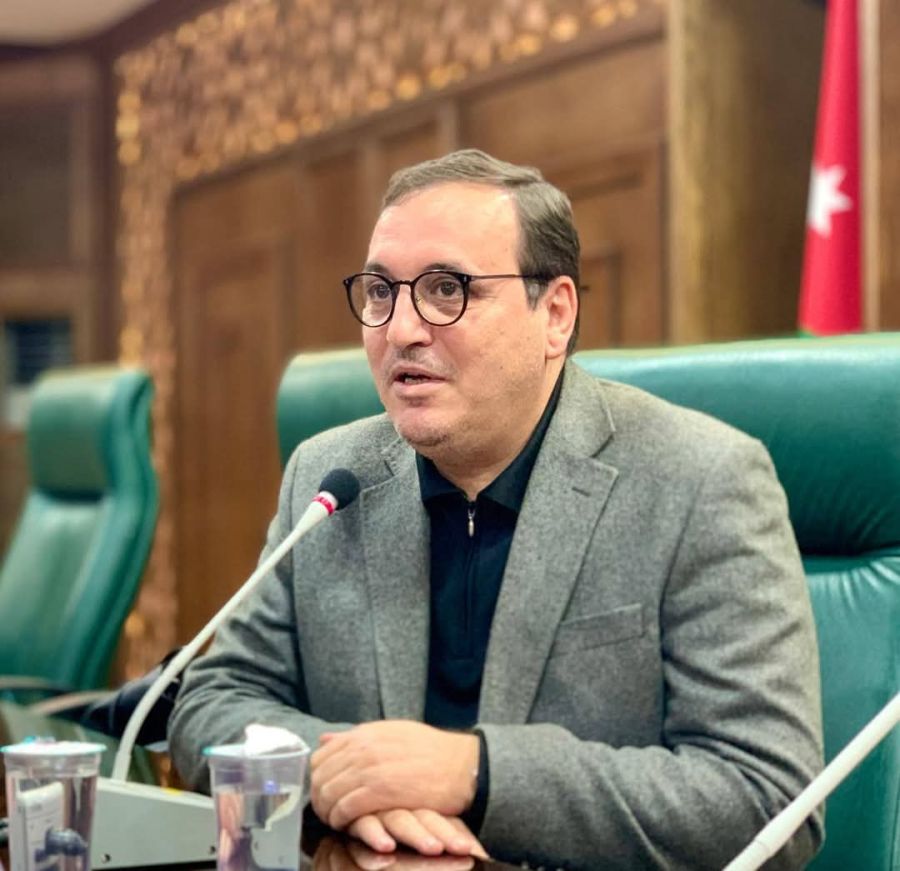 المجالي لوزير الداخلية: أوقفوا إسفاف هذه السيدة ، سمعتنا في الخارج صارت  .. محل شك 