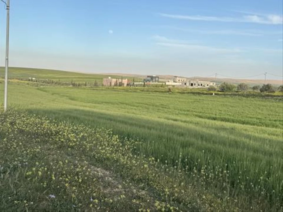 ربيع الكرك  ..  حلة قشيبة تنطق بالجمال وتذهب رتابة الحياة