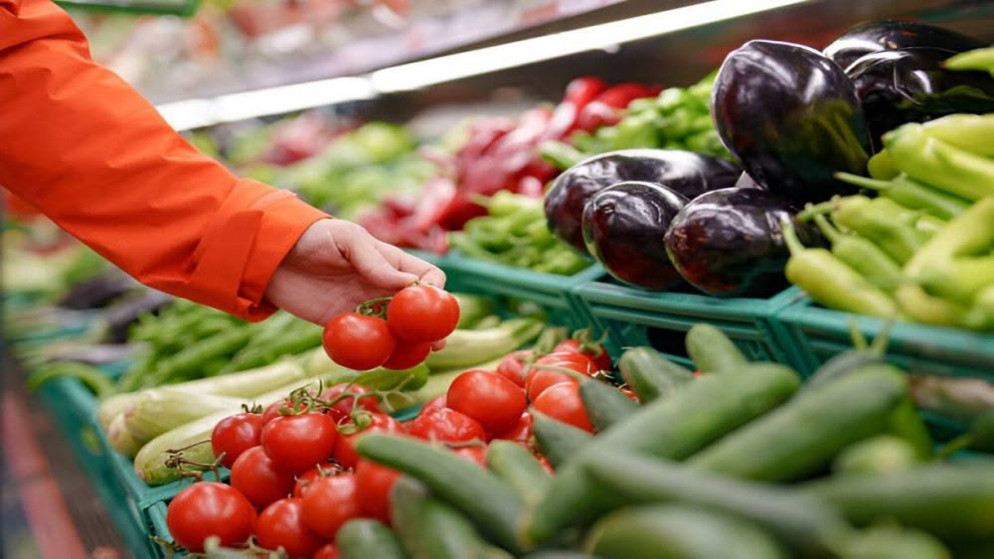 الخريسات: 19 شركة و500 مزارع استفادوا من دعم صادرات الخضار والفواكه بقيمة مليون دينار 