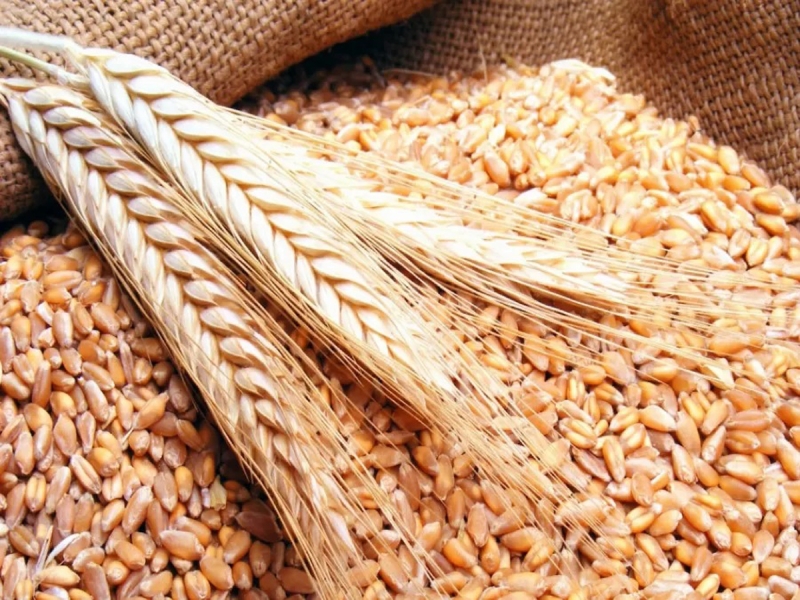 تخفيض سعر بيع طن دقيق القمح للشهر الحالي