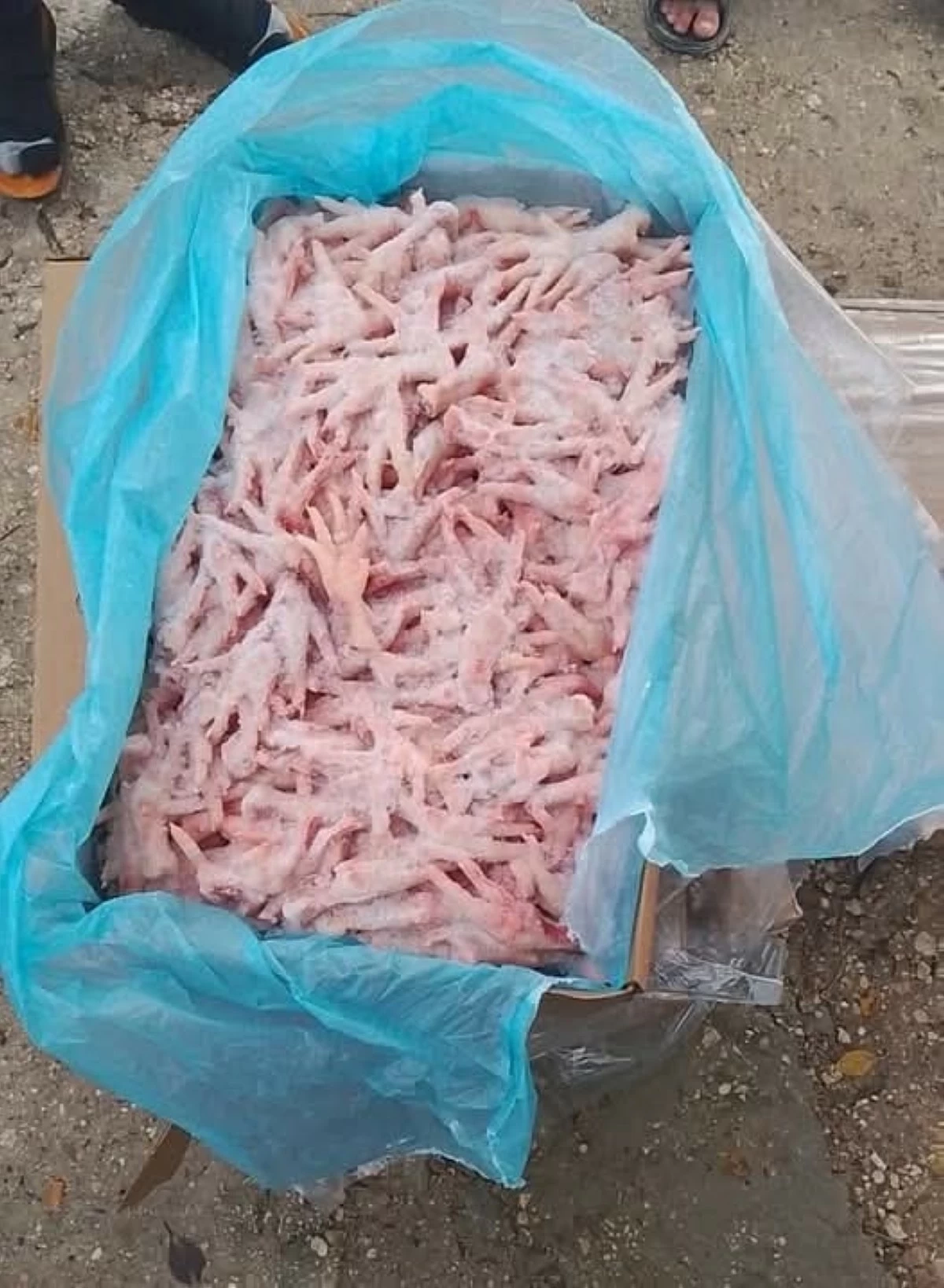 الأغوار الشمالية: ضبط توزيع مساعدات "أرجل دجاج"  