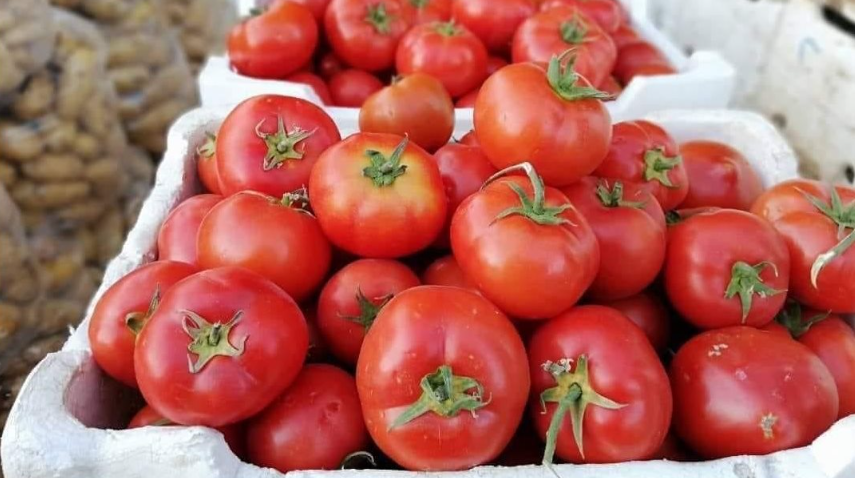 ماذا يحدث لجسمك عند تناول الطماطم بانتظام؟