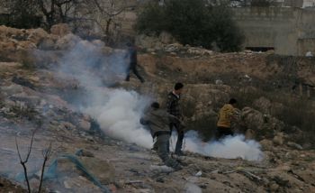 مستعمرون يحرقون 15 دونما في سبسطية شمال غرب نابلس