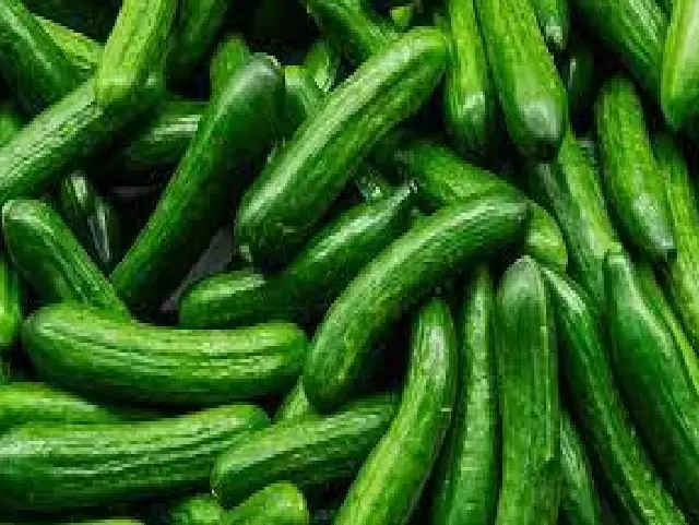 50 قرشا كيلو الخيار في السوق المركزي 