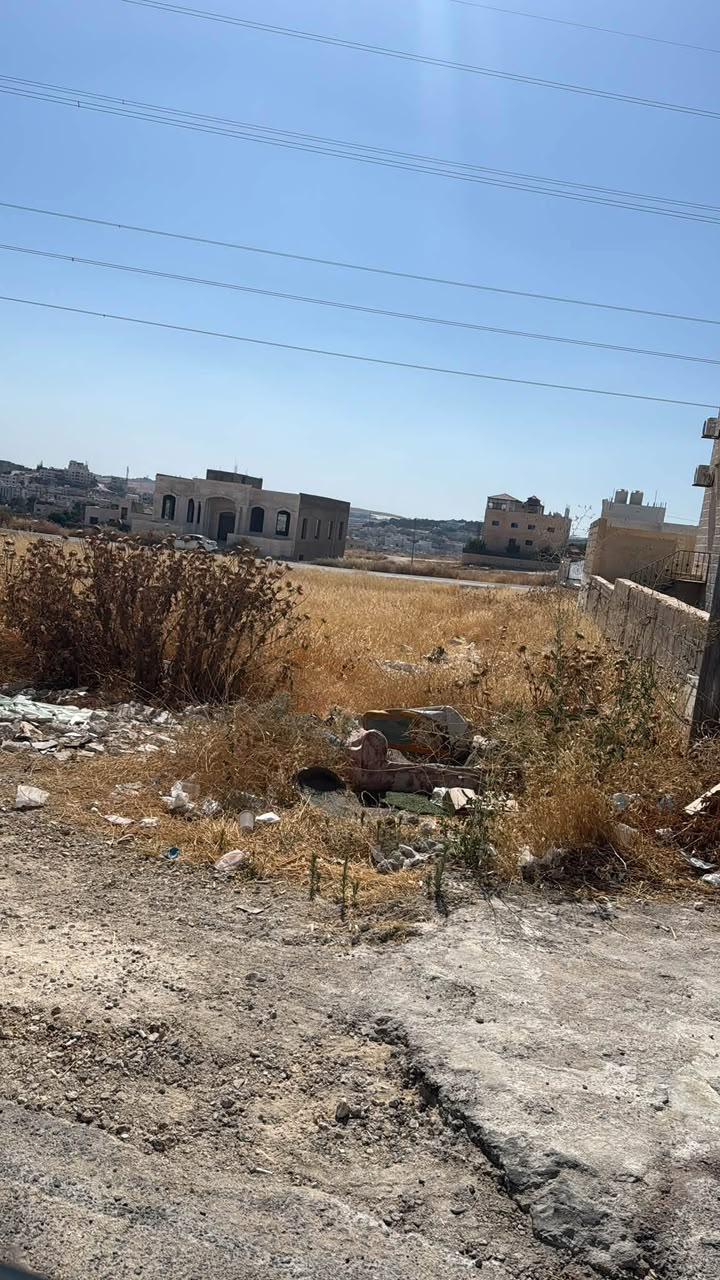 صيف اليادودة ينذر بالمخاطر ..  حرائق متكررة وزحف للأفاعي يهدد سلامة الأهالي