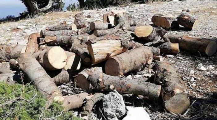 القبض على معتد بحقه 30 ضبطاً حرجياً في عجلون