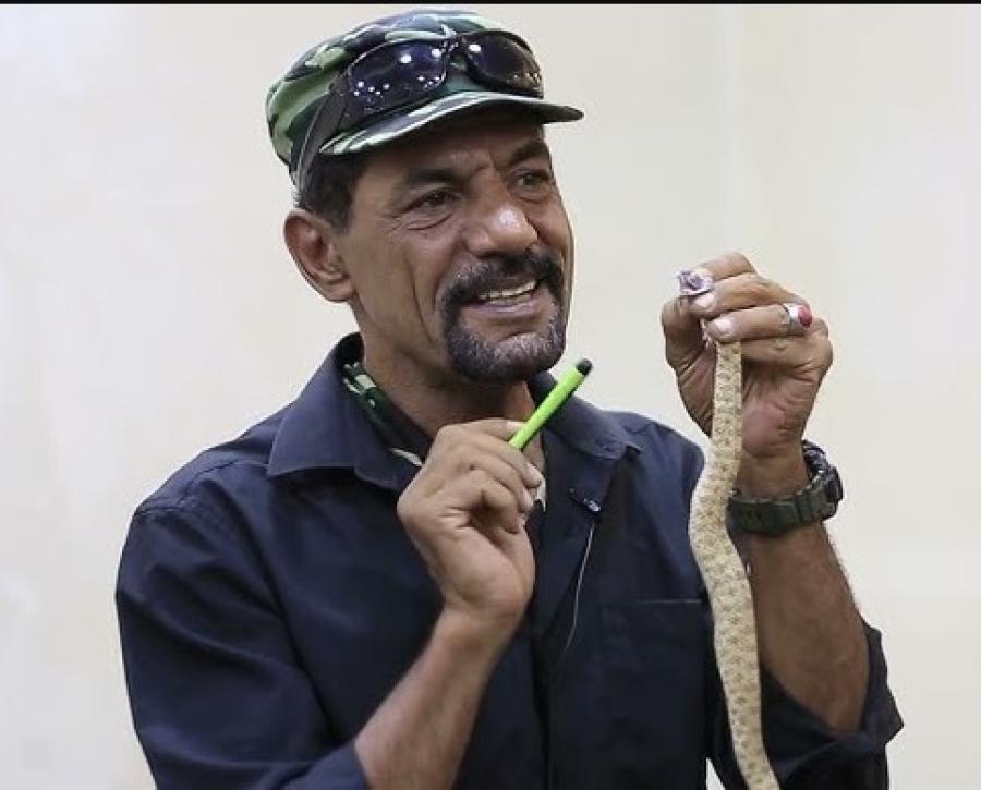 الصقور: لا سبات للأفاعي في الشتاء ..  والحذر واجب لحماية المزارعين والمجتمعات الريفية