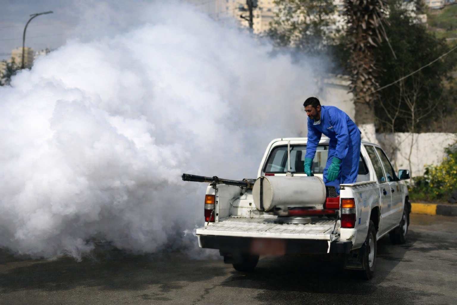 هل تنجح حملات رش المبيدات في الحد من انتشار الذباب في لواء دير علا قبل الصيف؟