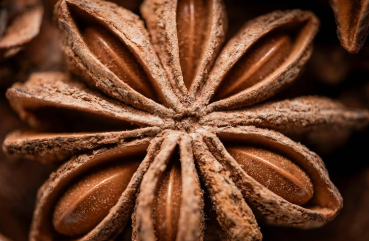 اكتشف تأثير اليانسون على الجهاز الهضمي