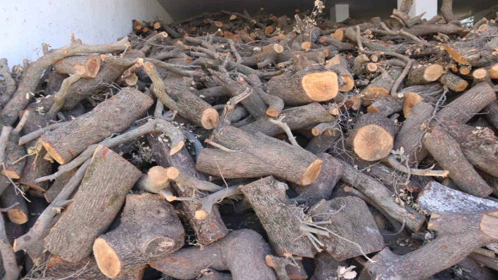 ضبط 8 أطنان من الأحطاب المقطوعة بطريقة مخالفة في جرش