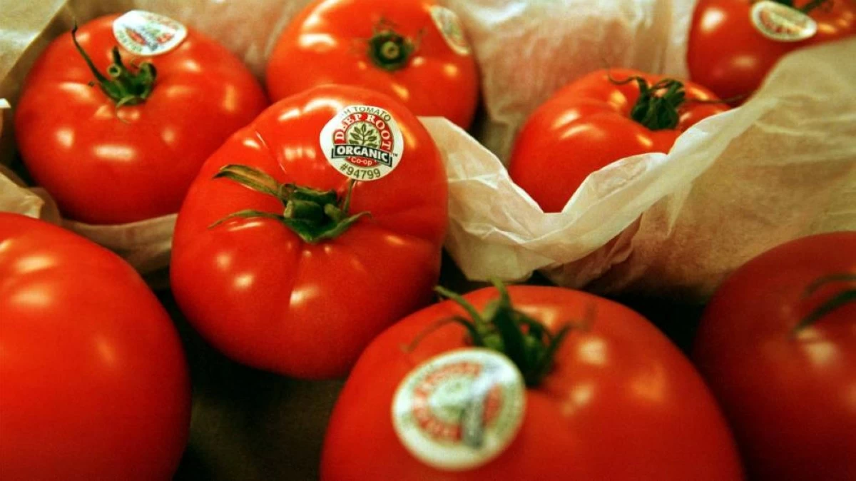 الولايات المتحدة تفرض تعرفات بنسبة 17% على واردات الطماطم المكسيكية