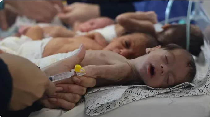 مجاعة الرُضّع في غزة: نقص حليب الأطفال يهدد حياة المئات