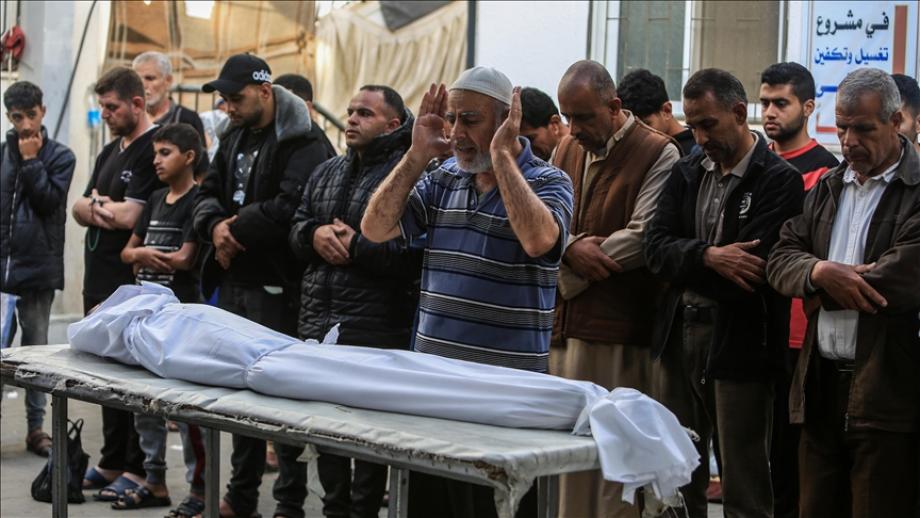 الصحة بغزَّة: 83 شهيدًا و216 إصابة خلال الـ 24 ساعة الماضية  