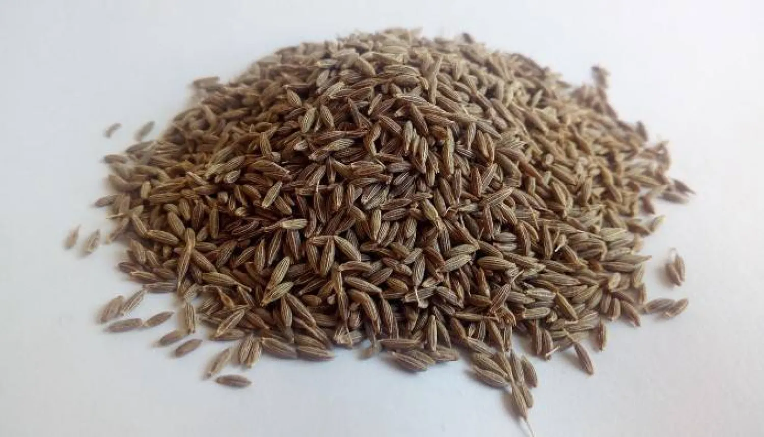 5 فوائد صحية للكَمُّون