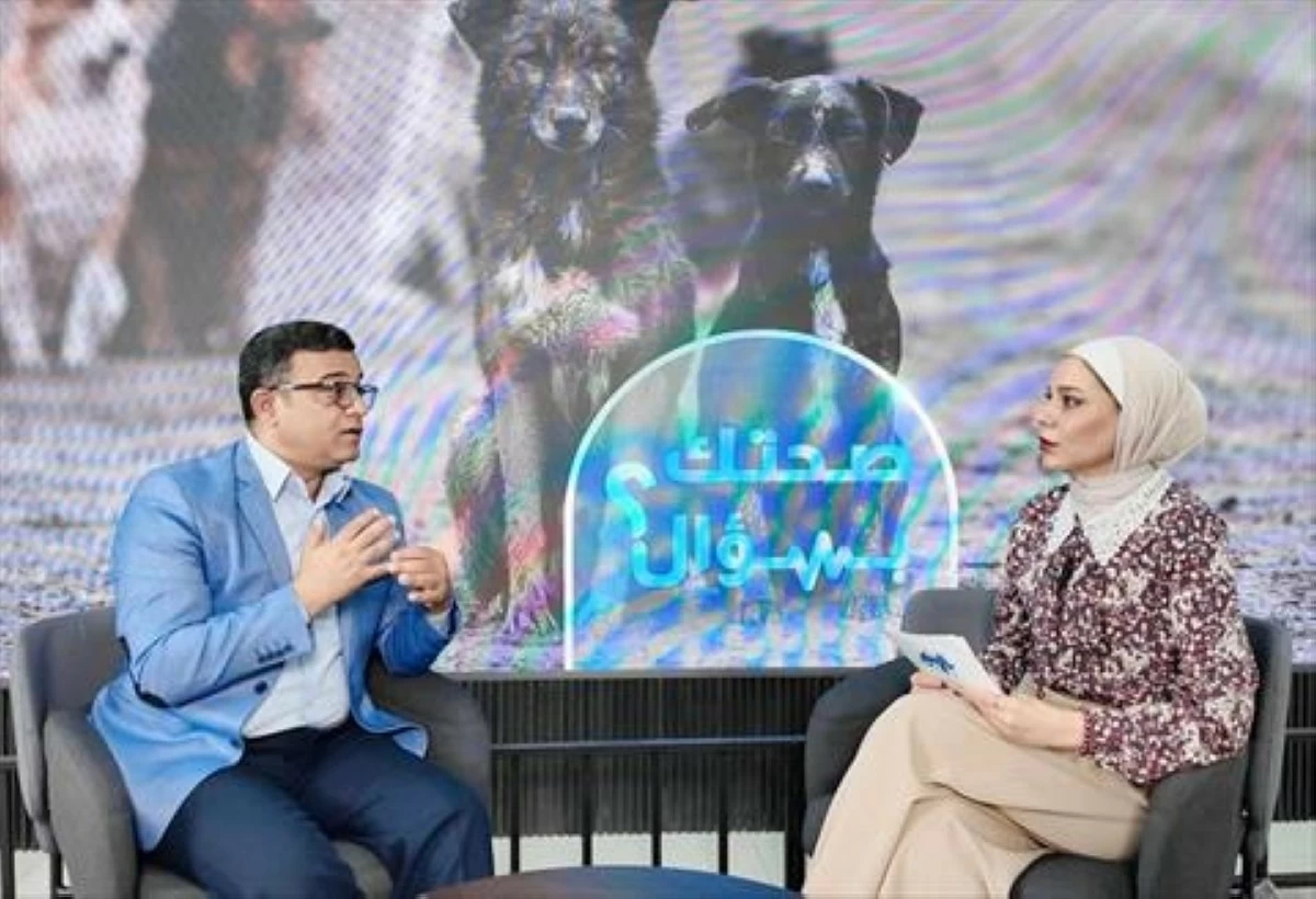 الحكومة توافق على خطة طوارئ للأطباء البيطريين للسيطرة على الحيوانات الضالة