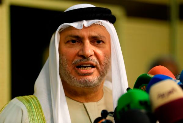 مستشار الرئيس الإماراتي: التضامن الخليجي هو السند الحقيقي