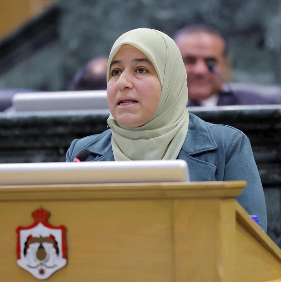 المحسيري: تفويض الحكومة بتحديد الرسوم خالف الدور الدستوري وأثقل كاهل المواطنين