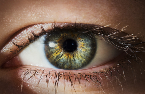 تجديد الخلايا لعلاج أمراض العين 