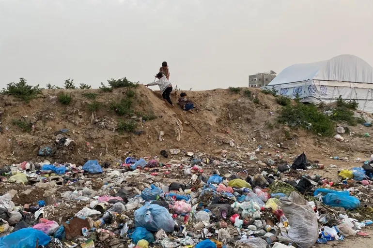 كارثة بيئية وصحية متفاقمة ..  انتشار القوارض والحشرات يهدد سكان غزة