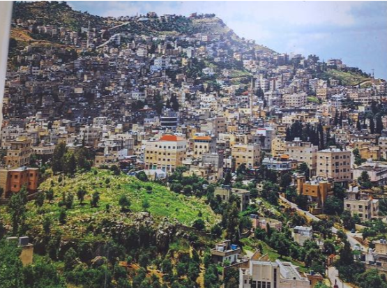 بلدية كفرنجة الجديدة تُفعّل التحويل للمحكمة بحق المعتدين على خطوط الإنارة