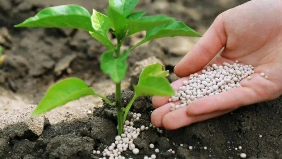 ثلث تجارة الأسمدة العالمية في دائرة الخطر جراء حرب إيران 