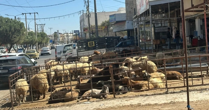 بلدية إربد تمهل أصحاب الملاحم في حوارة لإزالة الاعتداءات على الأرصفة